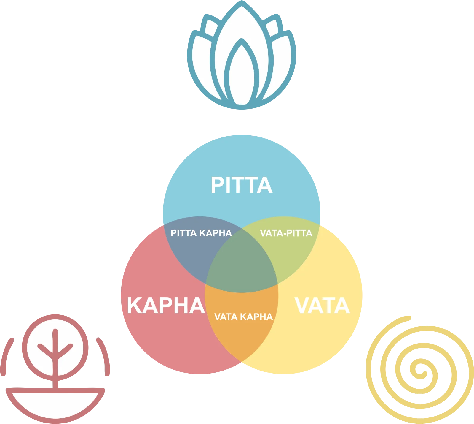 Decoding Ayurveda: Understanding Doshas & Creating Your Personalized Skincare Routine